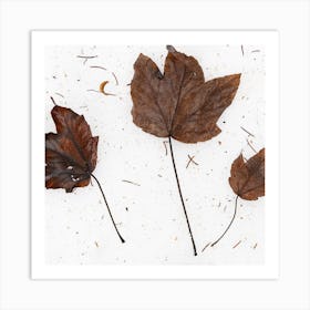 Autumn Leaves Art Print