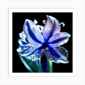 Blue Flower With Water Droplets 1 Art Print