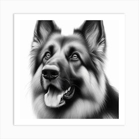 Pencil Drawing Of A German Shepherd Dog 1 Art Print