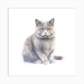 British Shorthair Cat Portrait 1 Art Print