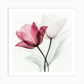 Pastel X Ray Icm Flowers 17 1 Poster