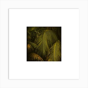 Palm Leaves at golden hour small square Art Print