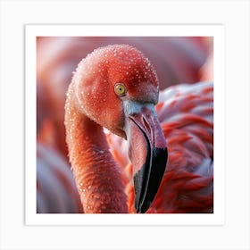 Flamingo 46 Art Print