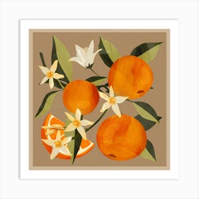 Oranges Botanical Art Art Print