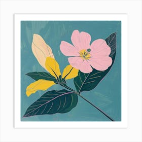 Evening Primrose Square Flower Illustration Art Print
