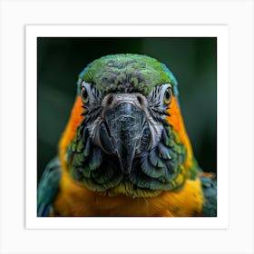 Portrait Of A Parrot Art Print