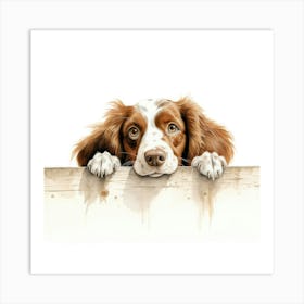 Spaniel Welsh Springer 2 Art Print