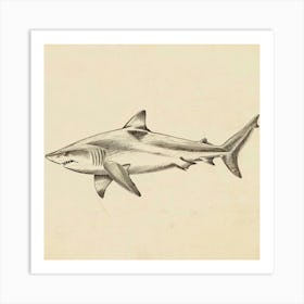 Vintage Shark Pencil Illustration 7 Art Print