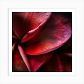 Red Plumeria Art Print