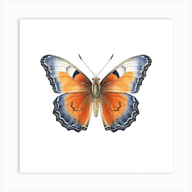 Butterfly 18 Art Print