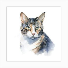 Aegean Cat Portrait 3 Art Print