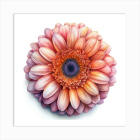 Gerbera Daisy 5 Affiche