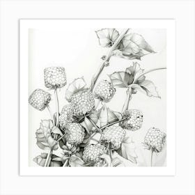 Blackberries Art Print