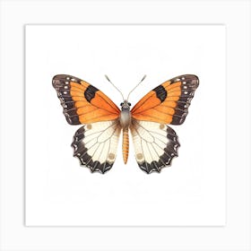 Butterfly 44 Art Print