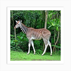 Zebra In The Forest 3 Art Print