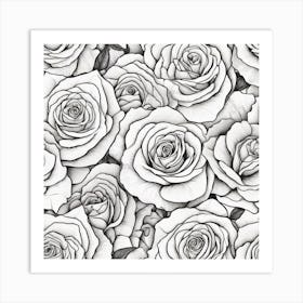 Black And White Roses Art Print