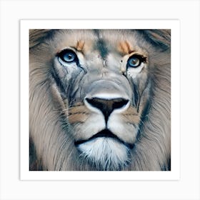 Lion Portrait Closeup Art Print