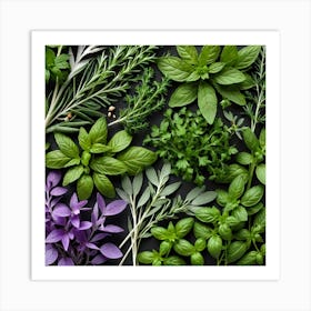 Fresh Herbs On A Black Background Art Print