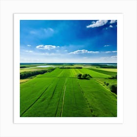 Grass Peace Air Structure Pasture Soy Bean High Country Rural Green Farm Overhead Natur (9) Art Print