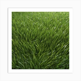 Green Grass 44 Art Print