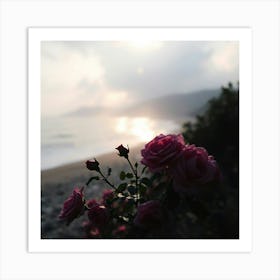 Roses On The Beach 11 Art Print