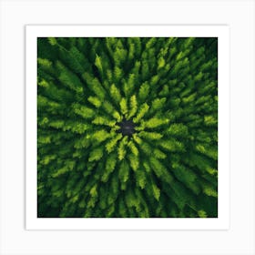 Aerial View Of A Forest 1 Art Print