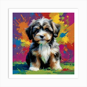 Havanese Puppy Art Print