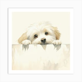 Shih Tzu 6 Art Print