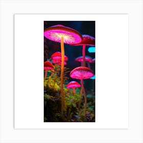 Mushrooms In The Dark Art Print