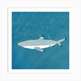 Black Tipped Reef Shark Art Print