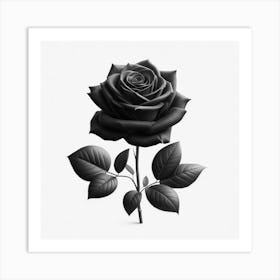 Black Rose, Transparent Png Download Art Print