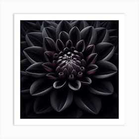 Black Dahlia 1 Art Print