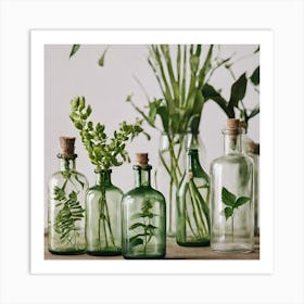 Glass Bottles With Plants Art Print