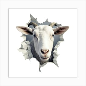 Goat Through A Wall Art Print