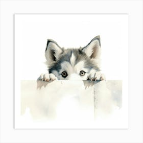 Siberian Husky Art Print