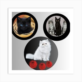 Three Cats 1 Art Print