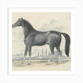 Egyptian Horse Art Print