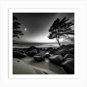 Black And White Photography 19 Art Print