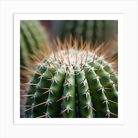 Cactus 1 Art Print