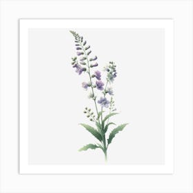 Larkspur Art Print