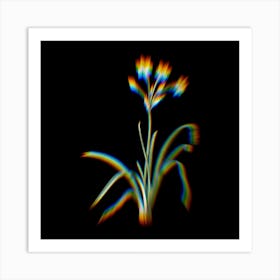 Prism Shift Crytanthus Vittatus Botanical Illustration on Black n.0372 Art Print