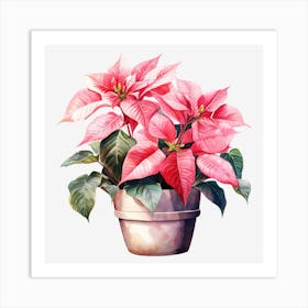 Poinsettia 29 Art Print