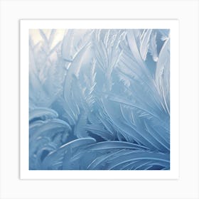 Frosty Feathers 1 Art Print