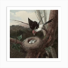 Bird In A Nest Art Print