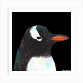 Gentoo Penguin Square Art Print