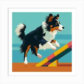 Australian Shepherd Jumping Hurdle Art Print