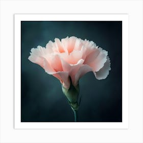 Pink Carnation Art Print