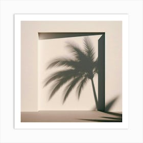 Shadow Of Palm Tree 6 Art Print