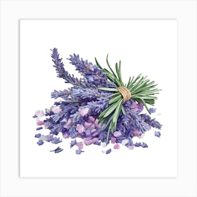 Lavender On A White Background Art Print