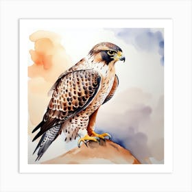 Falcon Watercolour Art Print